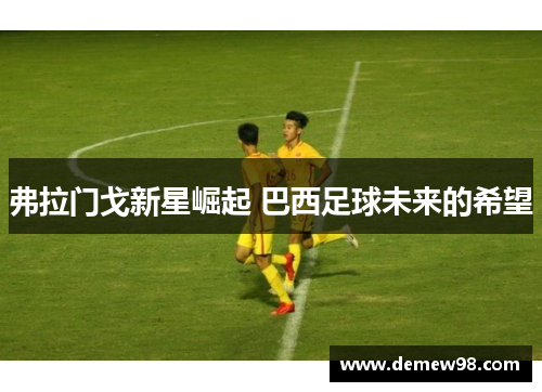弗拉门戈新星崛起 巴西足球未来的希望
