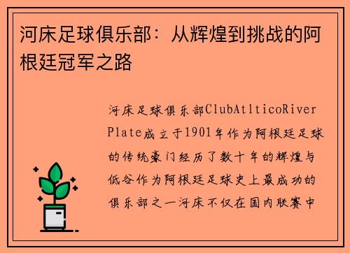 河床足球俱乐部：从辉煌到挑战的阿根廷冠军之路